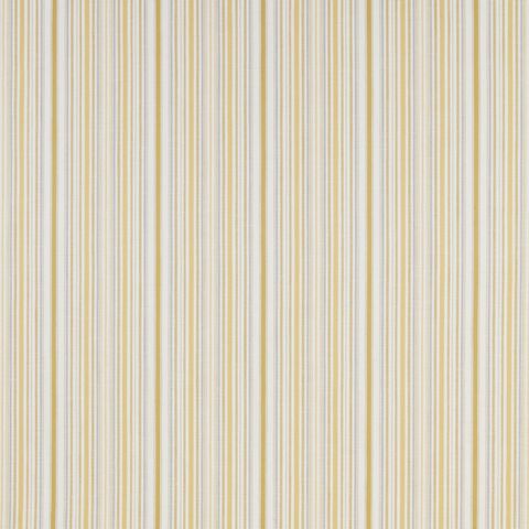 Somerville Citrus Upholstery Fabric