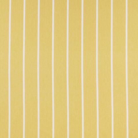 Waterbury Citrus Upholstery Fabric