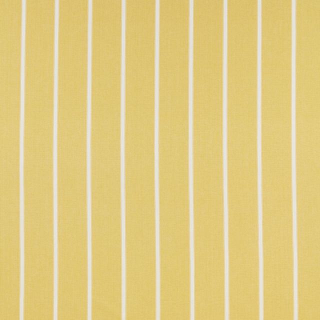 iLiv Portland Waterbury Citrus Upholstery Fabric
