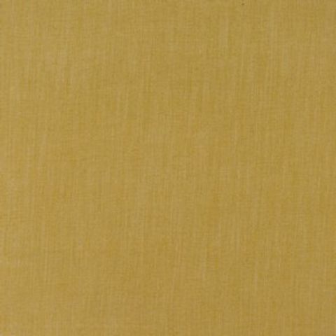 Monza Ochre