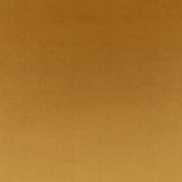 Villa Nova RIO Rio Cumin