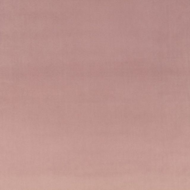 Villa Nova RIO Rio Violette