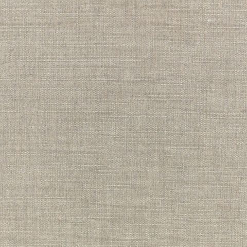 Carallio Silver Grey Upholstery Fabric