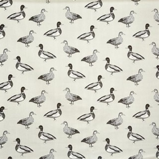 Duck Canvas