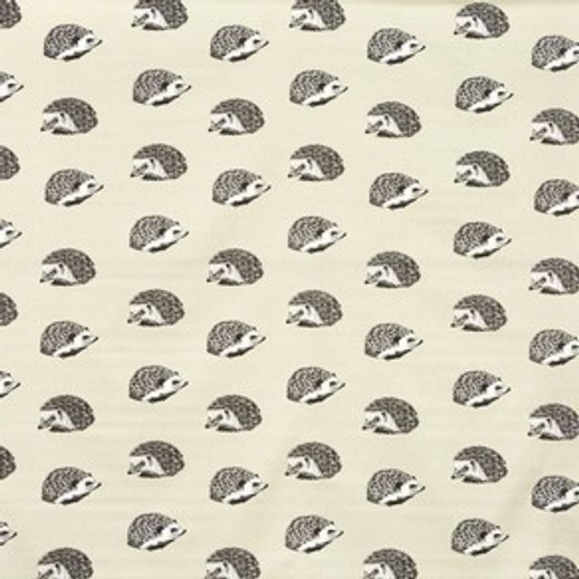 Hedgehog Canvas