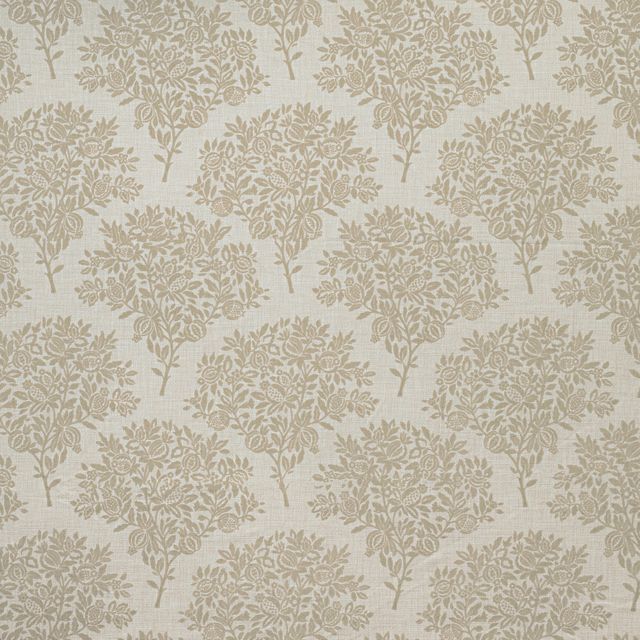 Ashley Wilde Caversham Cherington Sesame