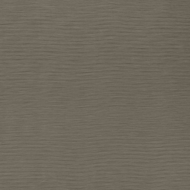 Ashley Wilde Darwin Austen Bronze