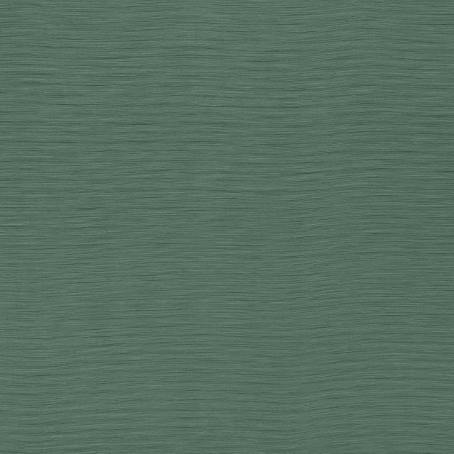 Ashley Wilde Darwin Austen Jade