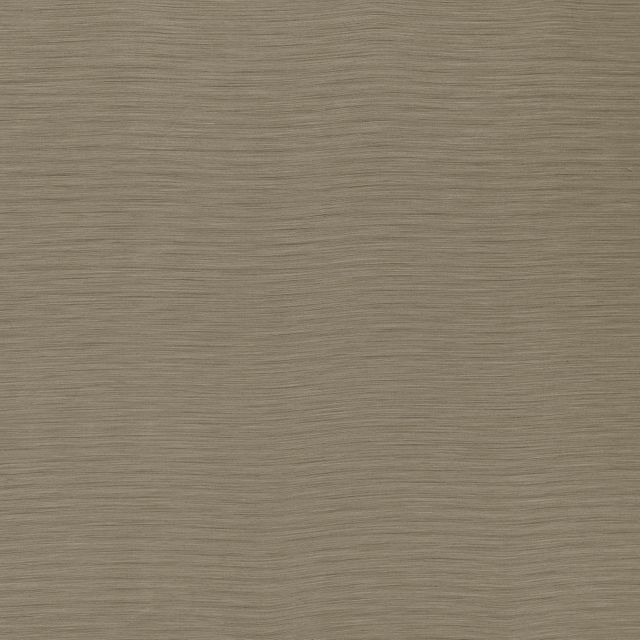 Ashley Wilde Darwin Austen Otter