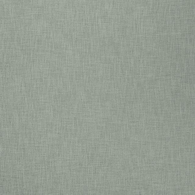 Ashley Wilde Darwin Bronte Aloe