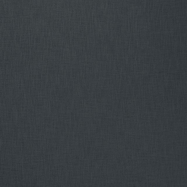 Ashley Wilde Darwin Bronte Charcoal