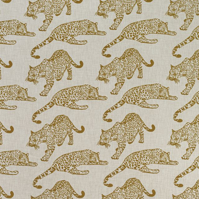 Ashley Wilde Serengeti Botswana Sand