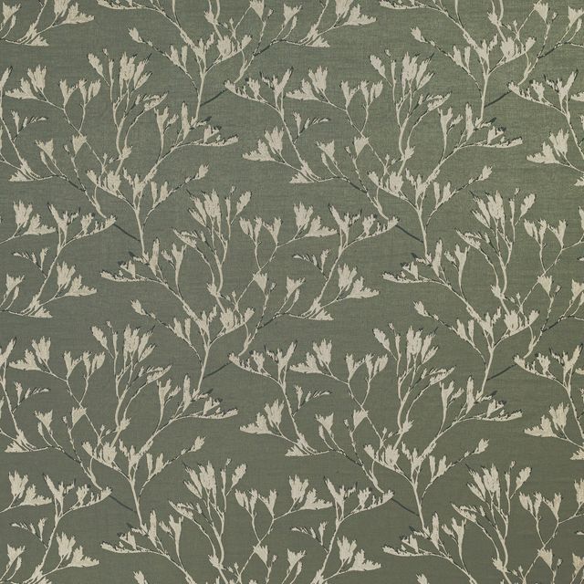 Ashley Wilde Provence Rhone Sage