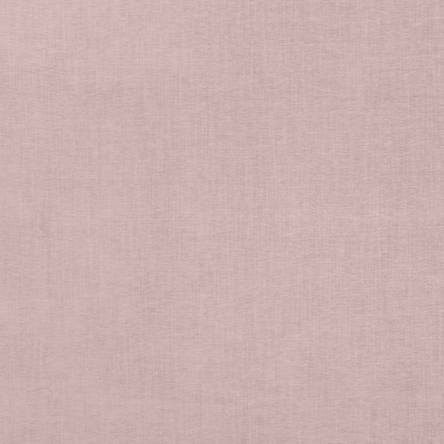 Ashley Wilde Verona Finley Shell