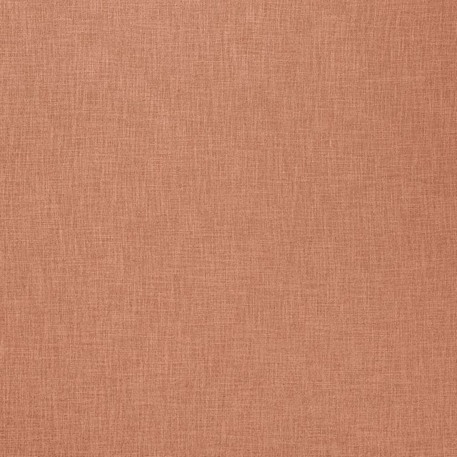 Ashley Wilde Darwin Bronte Coral