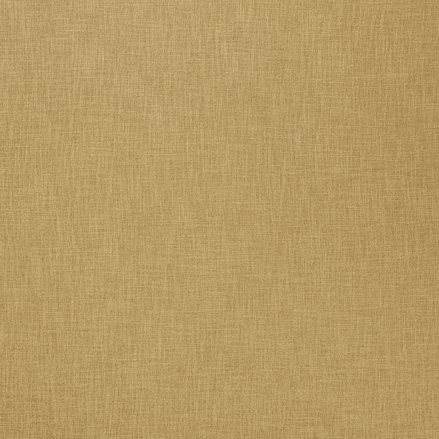 Ashley Wilde Darwin Bronte Ochre