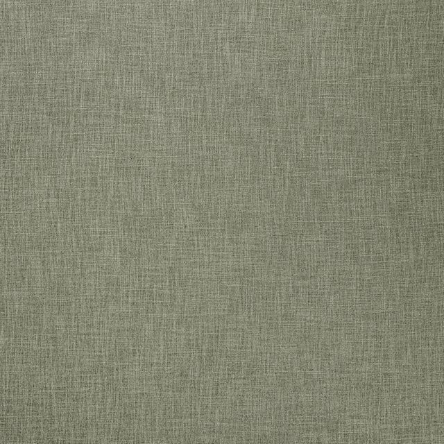 Ashley Wilde Darwin Bronte Olive