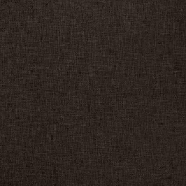 Ashley Wilde Darwin Bronte Praline