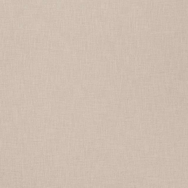 Ashley Wilde Darwin Bronte Shell