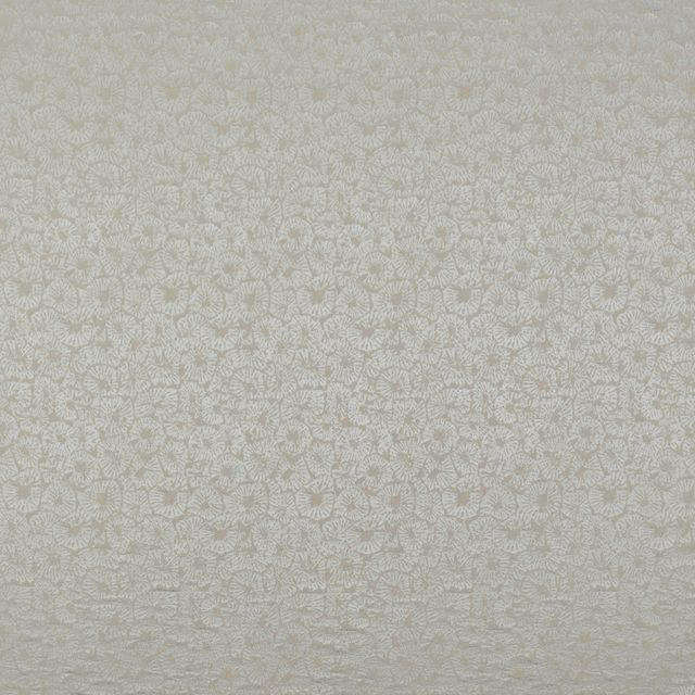 Kai Peninsula Caninia Putty