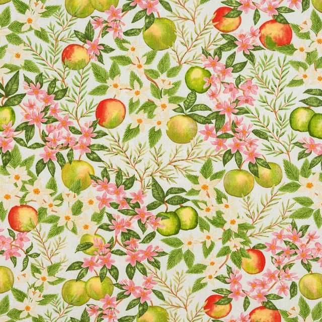 Apple Blossom