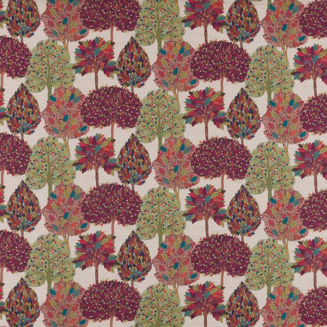 Porter & Stone Arboretum Arbre Mulberry