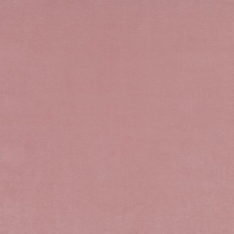 Belvoir Blush Voile Fabric