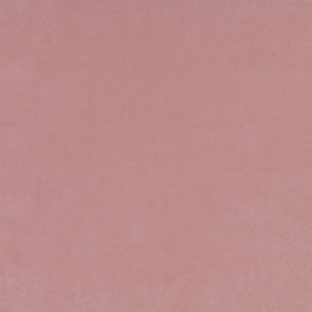 Fryetts Plain Belvoir Blush