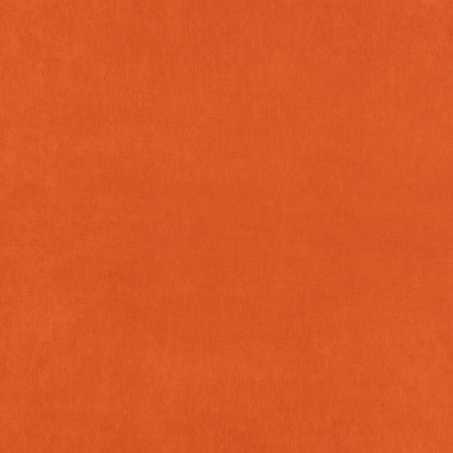 Belvoir Burnt Orange