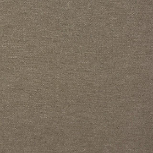 Porter & Stone Glasshouse Carrera Mink