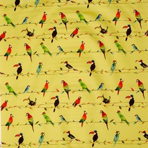 Toucan Talk Zest Voile Fabric