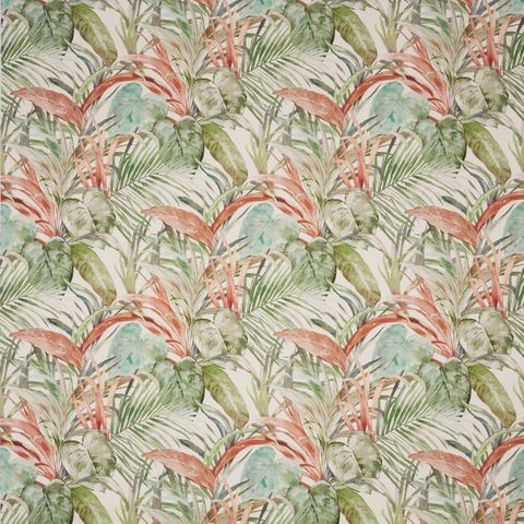 Los Angeles Passion Flower