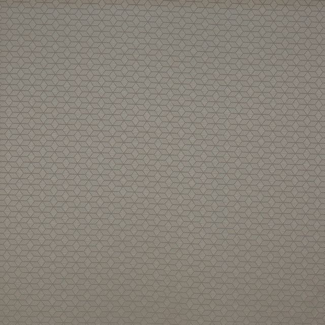 Prestigious Textiles Moda Franco Pewter