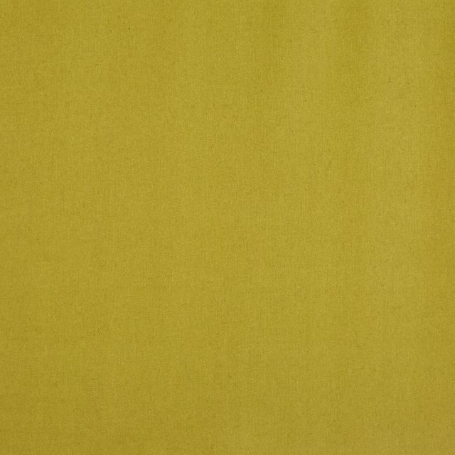 Prestigious Textiles Ingleton Ingleton Lime