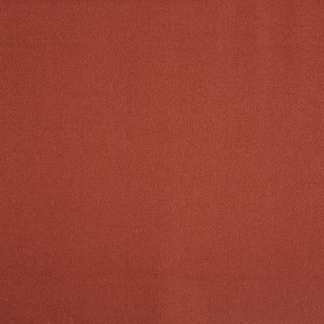 Prestigious Textiles Ingleton Ingleton Tiger