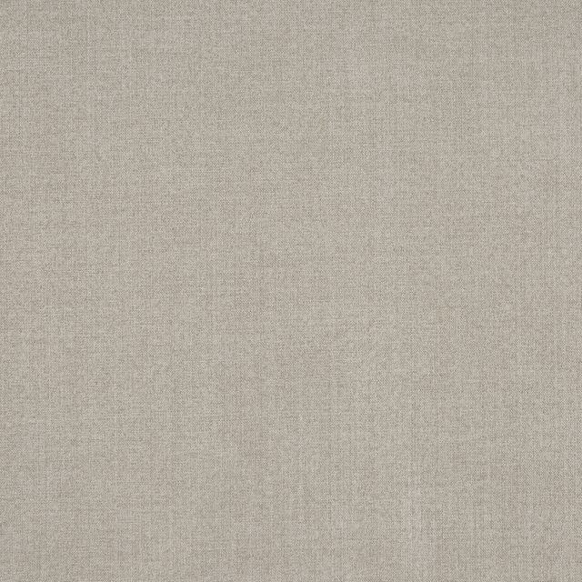 Prestigious Textiles Chester Ralph Feather