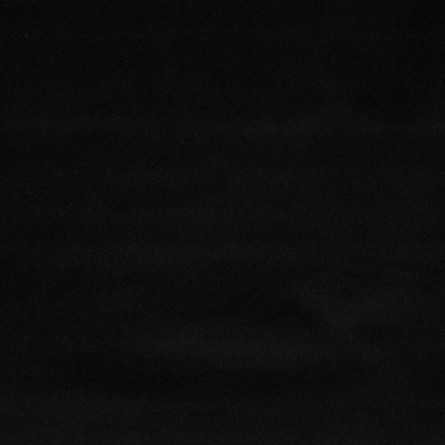 Prestigious Textiles Chester Hadwin Raven