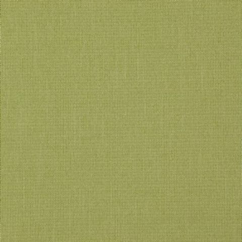 Ashcombe Palm Voile Fabric