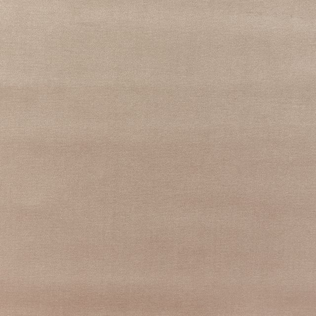 Prestigious Textiles Velour Velour Latte