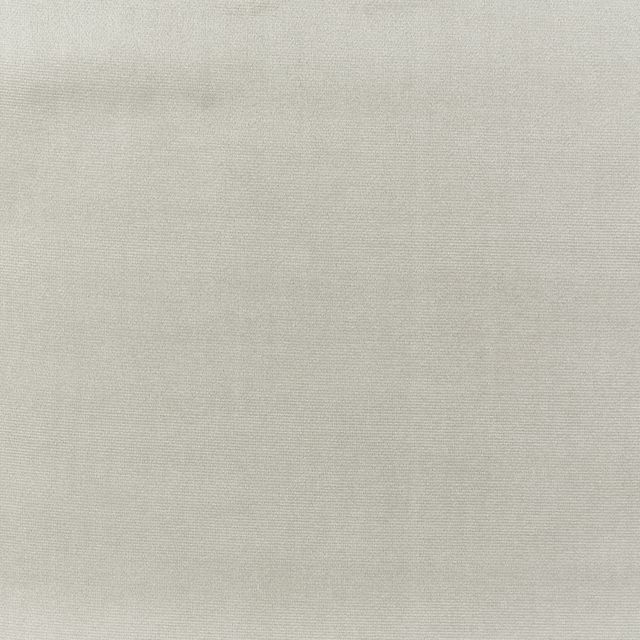 Prestigious Textiles Velour Velour Pebble