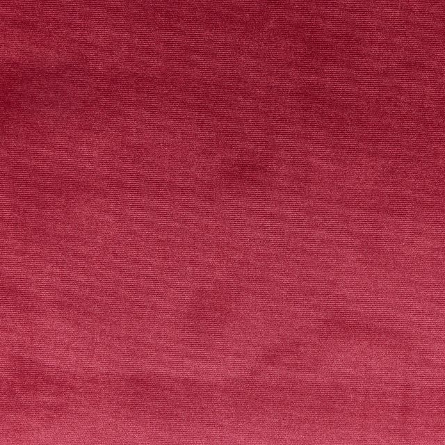 Prestigious Textiles Velour Velour Ruby Upholstery Fabric
