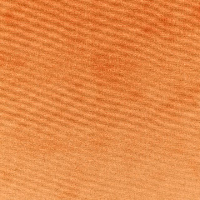 Prestigious Textiles Velour Velour Tan