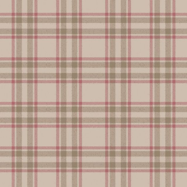 Arley House  Arran Check Large Latte 42 Sample