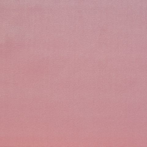 Velour Blush Upholstery Fabric