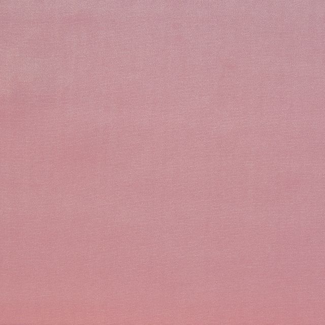 Prestigious Textiles Velour Velour Blush