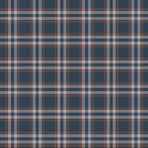 Arran Check Small Navy