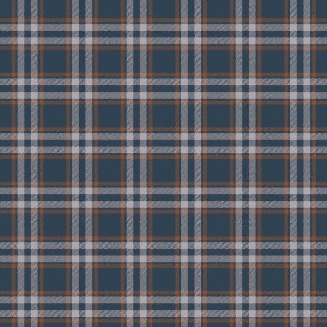 Arley House Tobermory Arran Check Small Navy