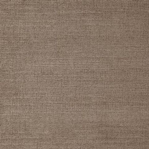 Ballantrea Latte Voile Fabric