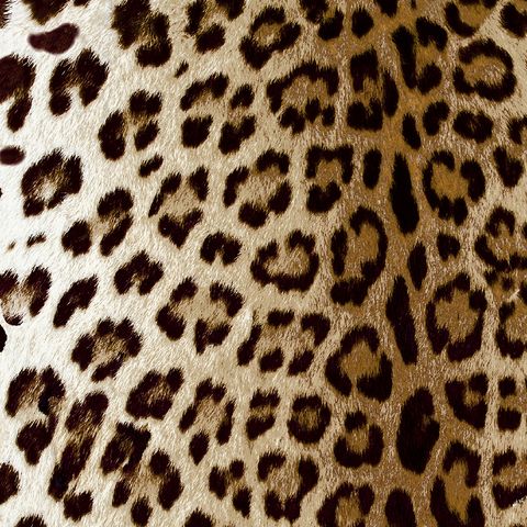 Leopard Bronze Upholstery Fabric