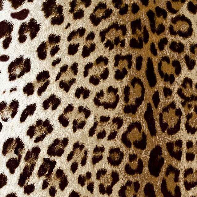 Arley House Safari Leopard Bronze